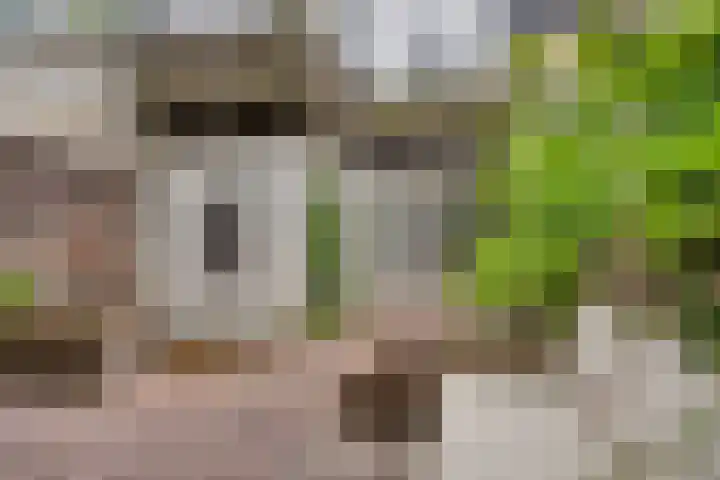 Sonsbeeksingel 68 Arnhem thumbnail 26