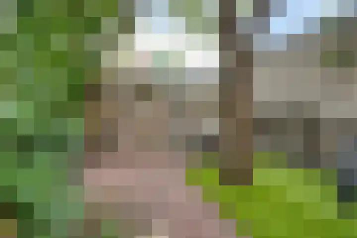 Sonsbeeksingel 68 Arnhem thumbnail 27