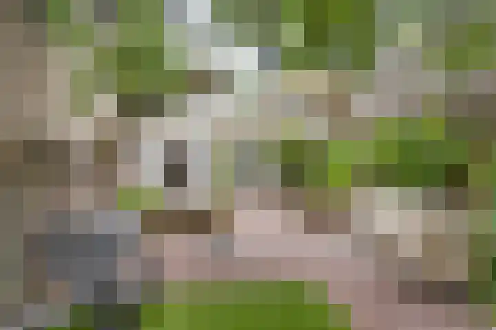 Sonsbeeksingel 68 Arnhem thumbnail 28