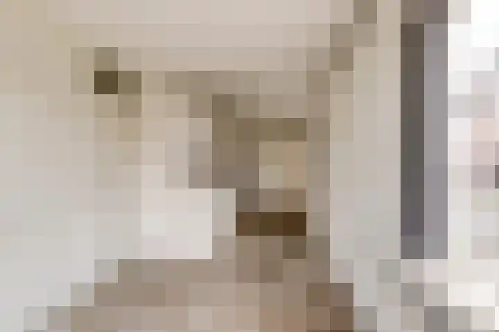 Sonsbeeksingel 68 Arnhem foto 3