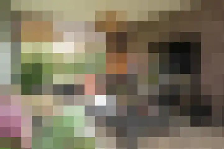 Sonsbeeksingel 68 Arnhem thumbnail 30
