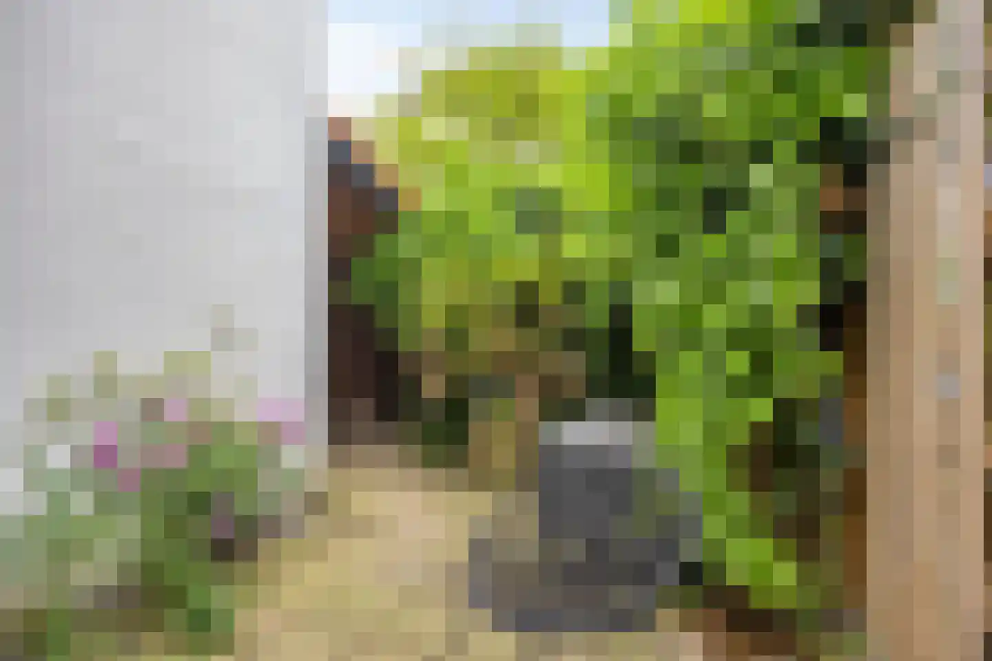 Sonsbeeksingel 77 Arnhem thumbnail 17