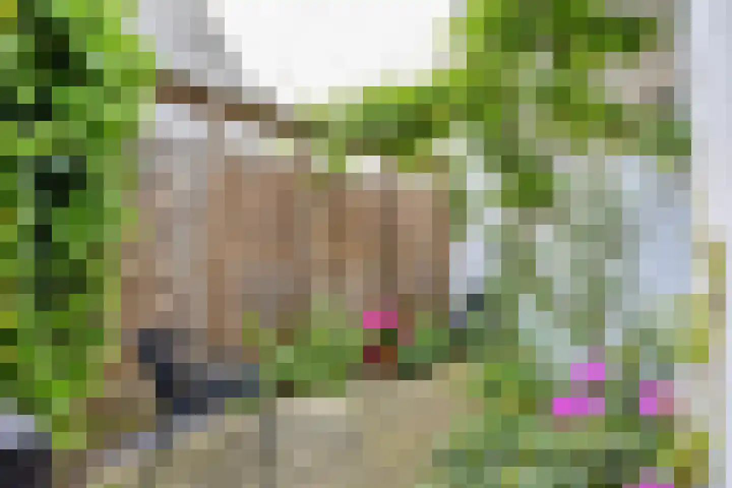 Sonsbeeksingel 77 Arnhem thumbnail 20