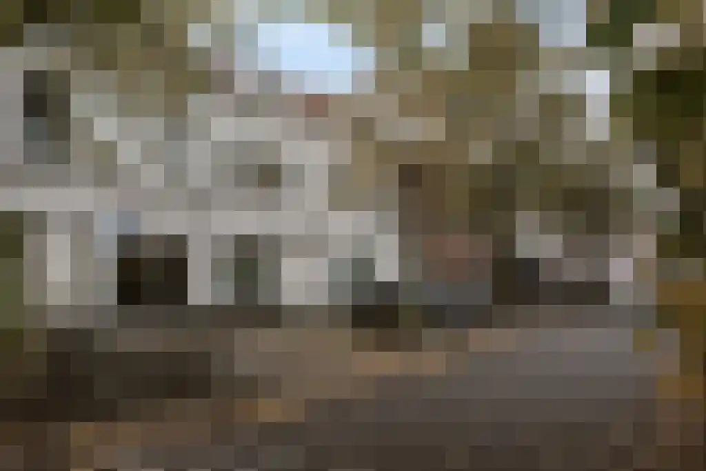 Sonsbeeksingel 79 Arnhem thumbnail 21