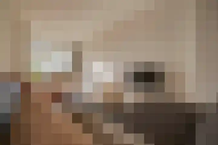 Sonsbeeksingel 81 Arnhem thumbnail 12