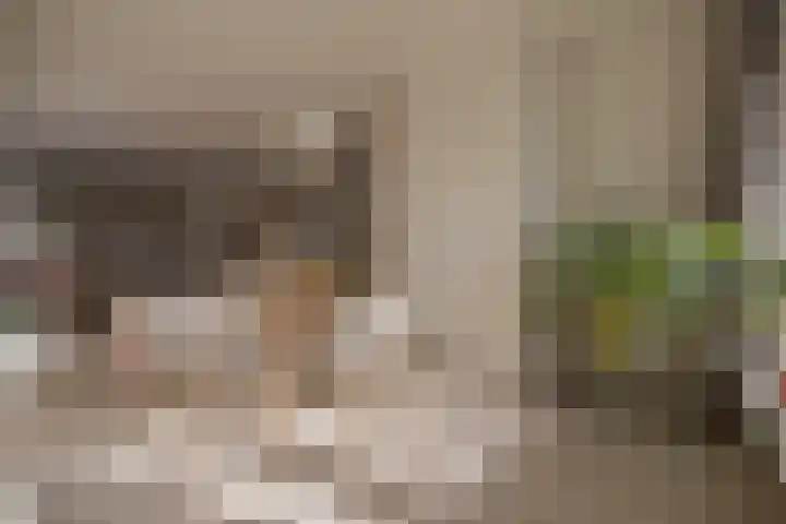 Sonsbeeksingel 81 Arnhem thumbnail 13