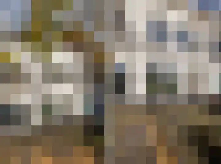 Sonsbeeksingel 81 Arnhem thumbnail 30