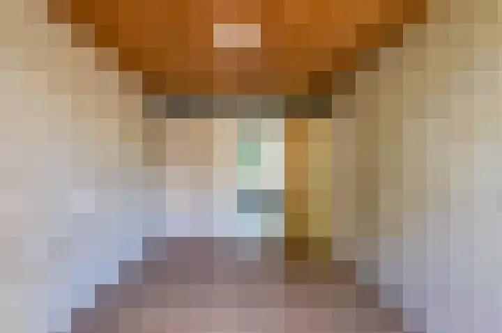 Sonsbeeksingel 81 Arnhem thumbnail 5