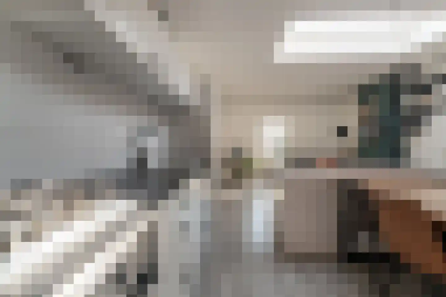 Sonsbeeksingel 97 3 Arnhem thumbnail 39