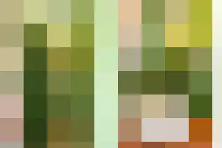 Sonsbeeksingel 97 4 Arnhem thumbnail 31