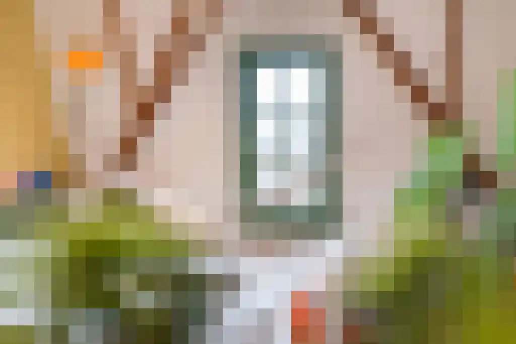 Sonsbeeksingel 97 4 Arnhem thumbnail 37