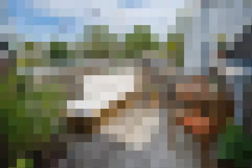 Sonsbeeksingel 97 4 Arnhem thumbnail 4