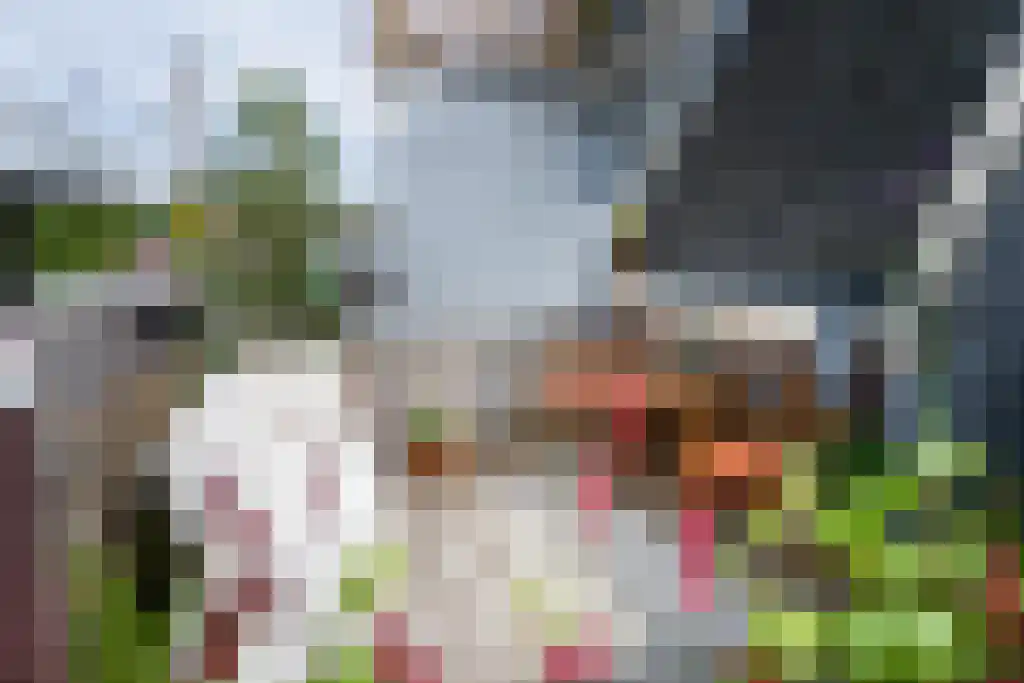 Sonsbeeksingel 97 4 Arnhem thumbnail 50
