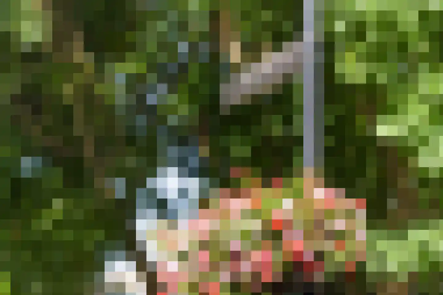Sonsbeeksingel 97 4 Arnhem thumbnail 58