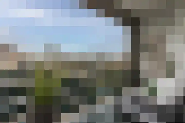 Sonsbeekweg 14 4 Arnhem thumbnail 13