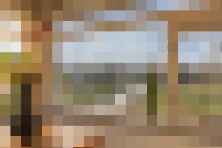 Sonsbeekweg 14 4 Arnhem thumbnail 22