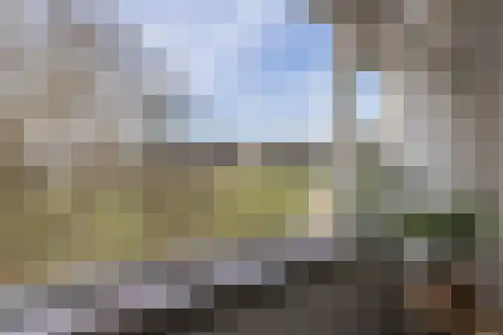 Sonsbeekweg 14 4 Arnhem thumbnail 29