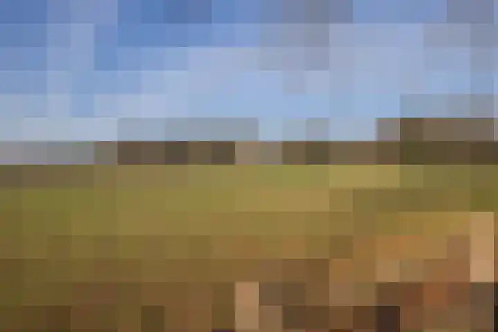 Sonsbeekweg 14 4 Arnhem thumbnail 40