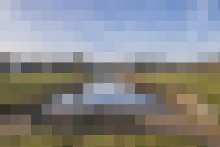 Sonsbeekweg 14 4 Arnhem thumbnail 41