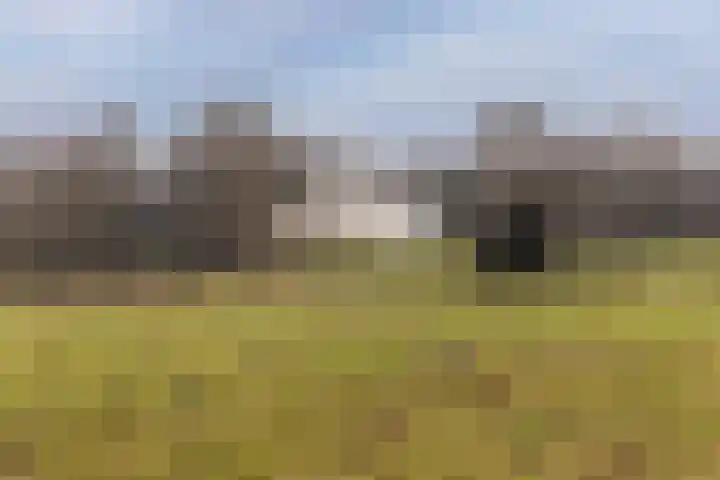 Sonsbeekweg 14 4 Arnhem thumbnail 42