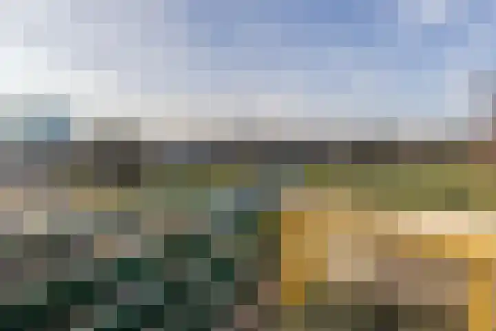Sonsbeekweg 14 4 Arnhem thumbnail 7