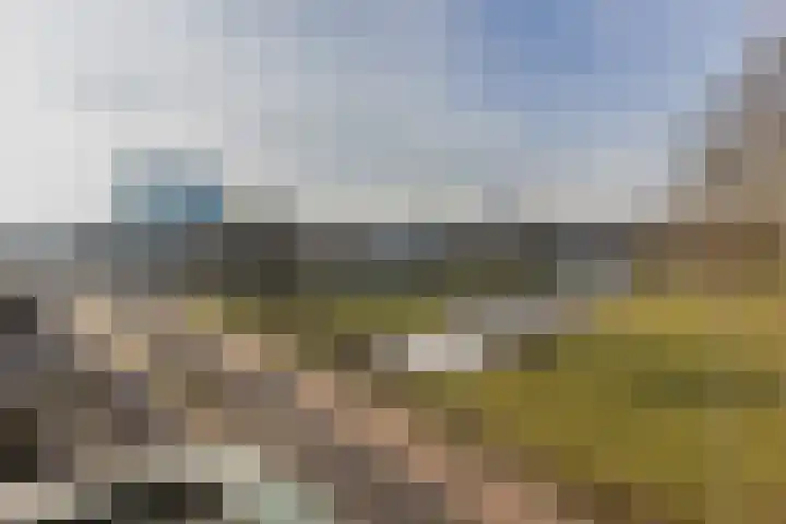 Sonsbeekweg 14 4 Arnhem thumbnail 8