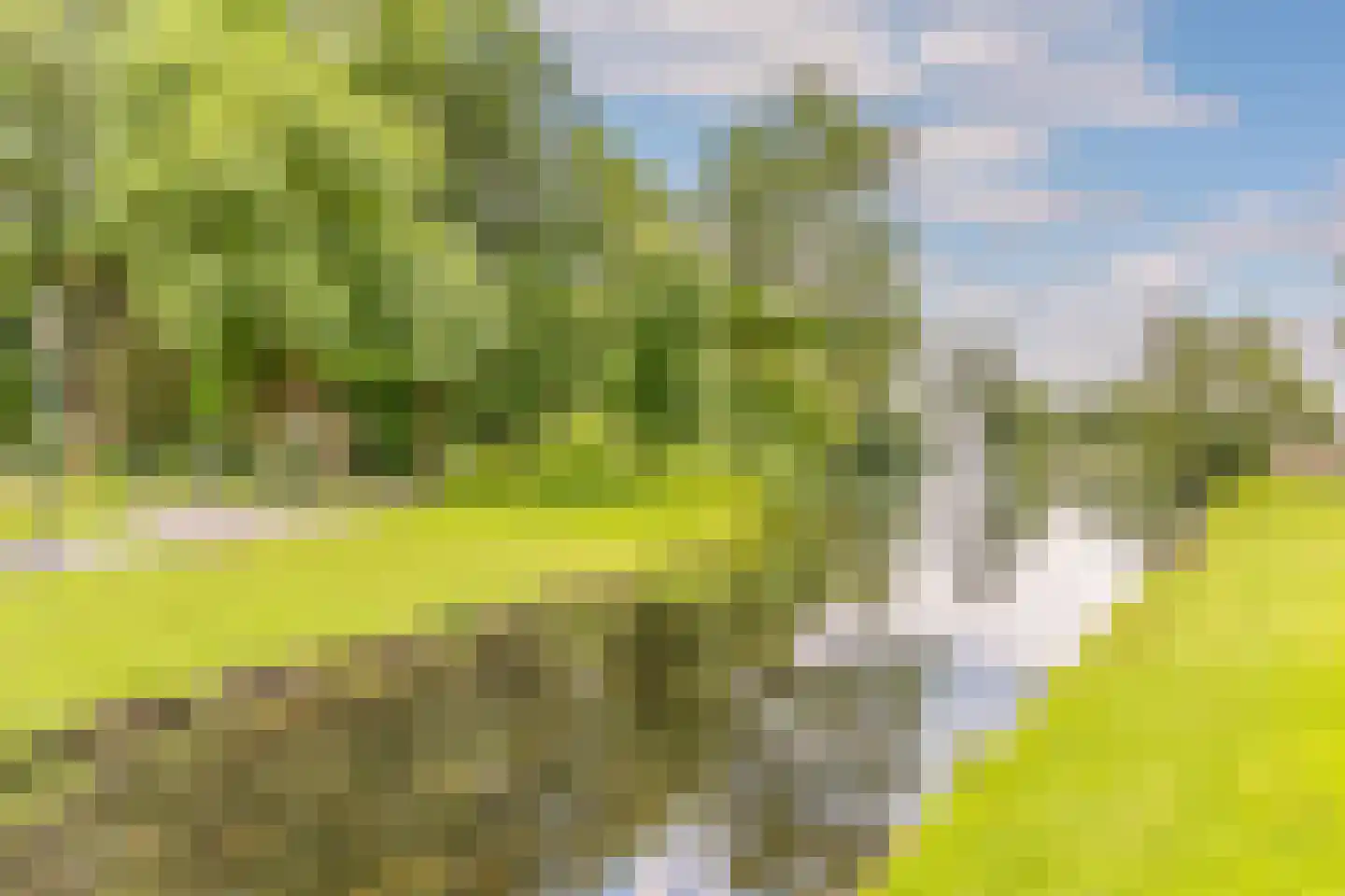 Sonsbeekweg 14 A 1 Arnhem thumbnail 34