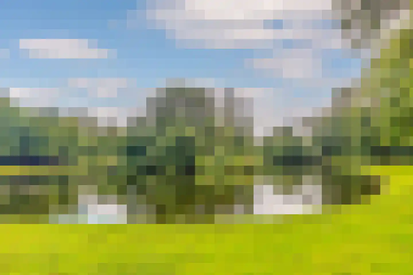 Sonsbeekweg 14 A 1 Arnhem thumbnail 35