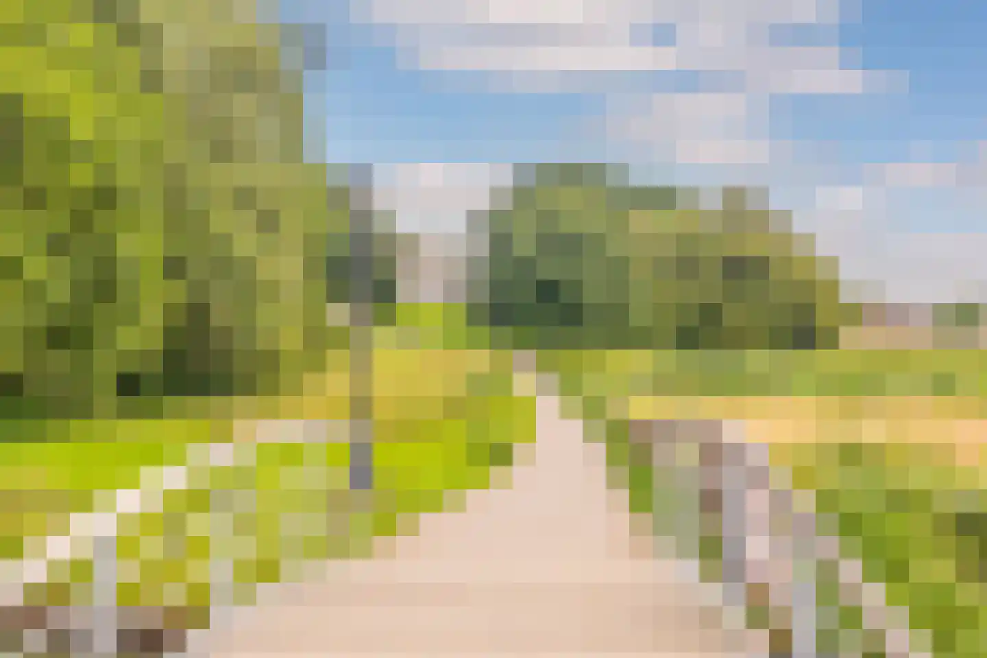 Sonsbeekweg 14 A 1 Arnhem thumbnail 36
