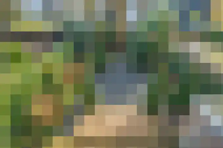 Sonsbeekweg 26 Arnhem thumbnail 26