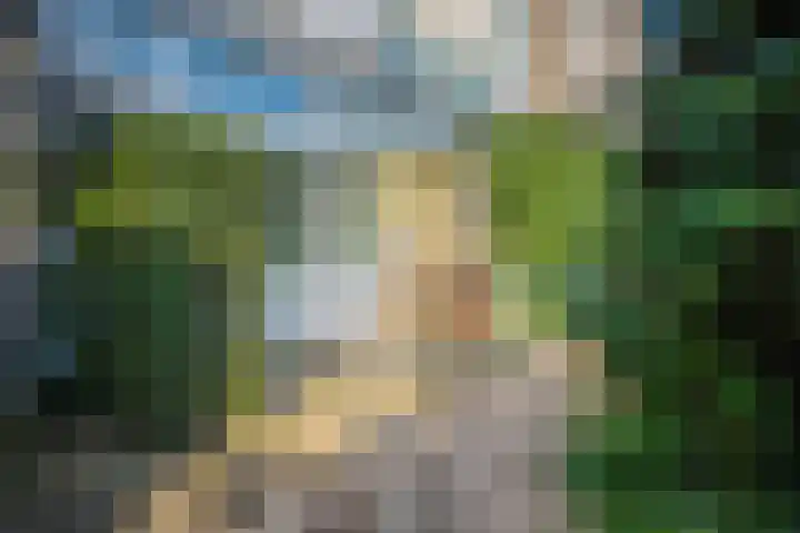 Sonsbeekweg 26 Arnhem thumbnail 41