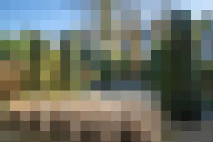 Sonsbeekweg 26 Arnhem thumbnail 43