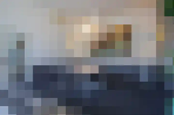 Sonsbeekweg 26 Arnhem thumbnail 8