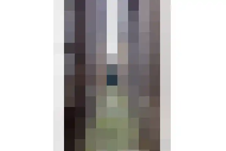Sonsbeekweg 36 2 Arnhem thumbnail 31