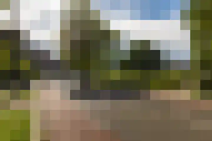 Sonsbeekweg 36 2 Arnhem thumbnail 32