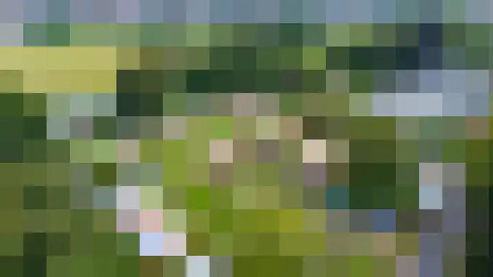 Sonsbeekweg 36 2 Arnhem thumbnail 36