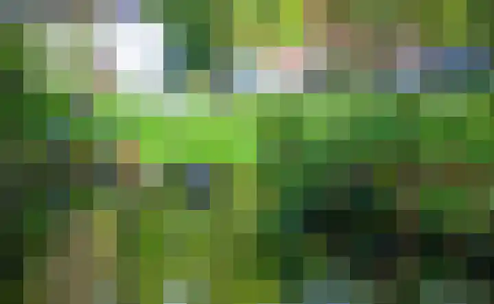 Sonsbeekweg 36 2 Arnhem thumbnail 37