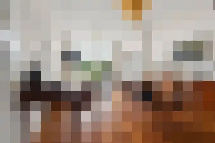 Sonsbeekweg 36 Arnhem thumbnail 11