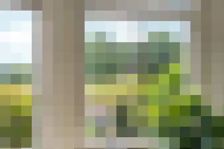 Sonsbeekweg 36 Arnhem thumbnail 14