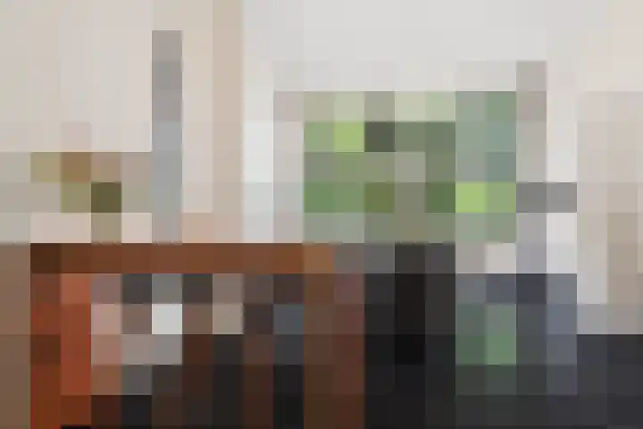 Sonsbeekweg 36 Arnhem thumbnail 18