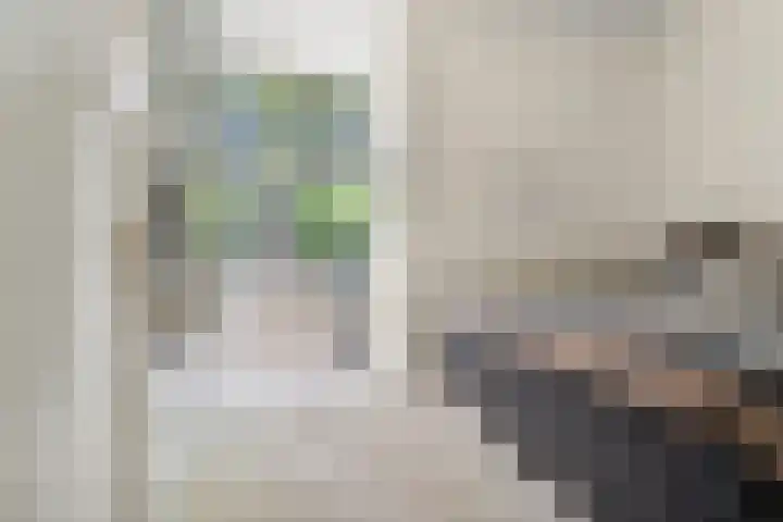 Sonsbeekweg 36 Arnhem thumbnail 24