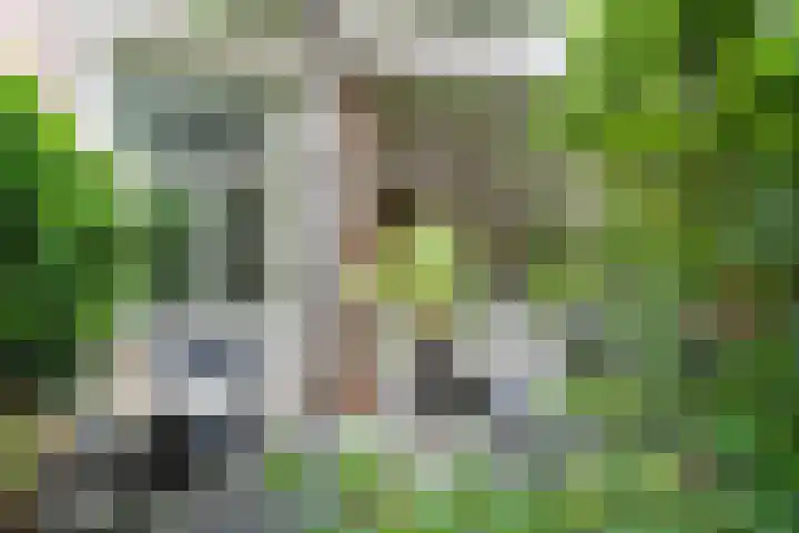Sonsbeekweg 36 Arnhem thumbnail 30