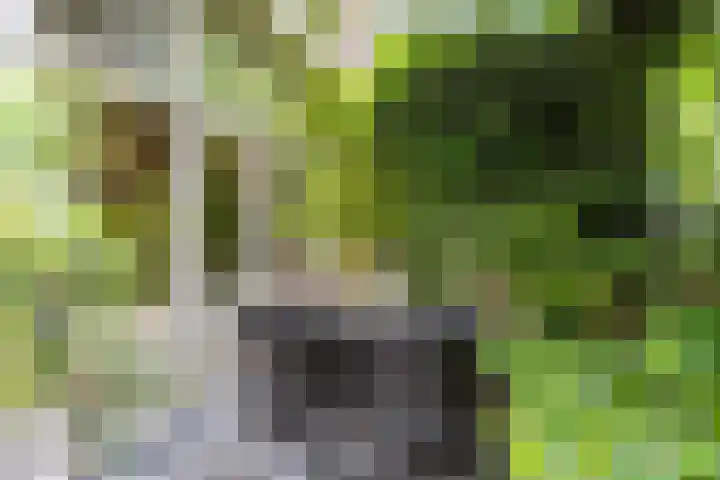 Sonsbeekweg 36 Arnhem thumbnail 31