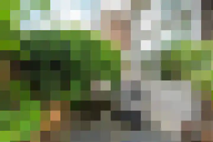 Sonsbeekweg 36 Arnhem thumbnail 32