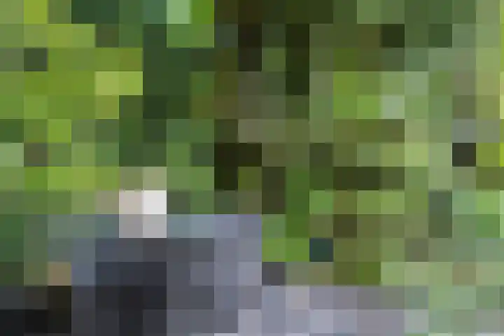 Sonsbeekweg 36 Arnhem thumbnail 33