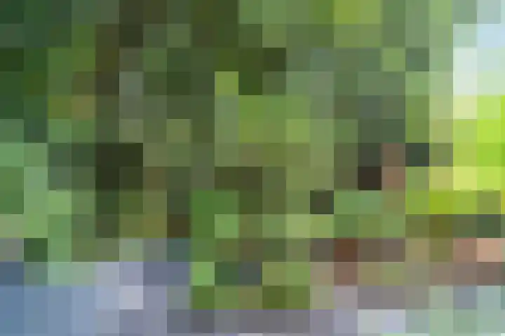 Sonsbeekweg 36 Arnhem thumbnail 34