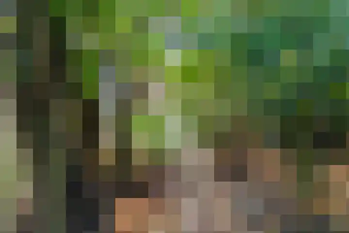 Sonsbeekweg 36 Arnhem thumbnail 36