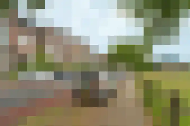 Sonsbeekweg 36 Arnhem thumbnail 38