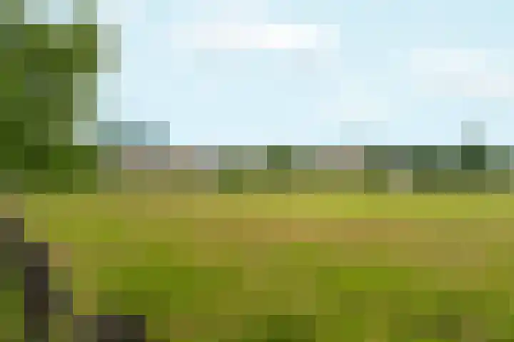 Sonsbeekweg 36 Arnhem thumbnail 40