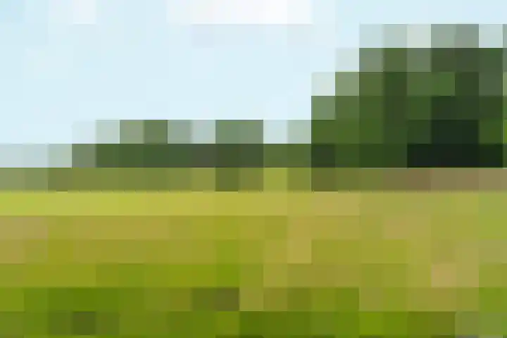 Sonsbeekweg 36 Arnhem thumbnail 41